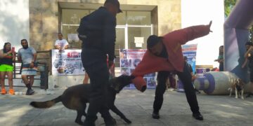 Participa SSPT en 6º Perrotón 2024