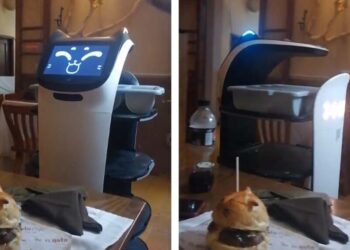 Restaurante en Jalisco es tendencia por ya contar con robots meseros