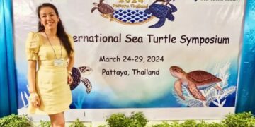 Investigadora de la UAT presenta en Tailandia estudio genético de las tortugas carey