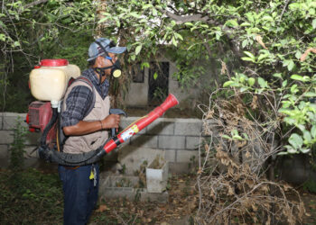 Recomienda SST eliminar criaderos y tirar cacharros para evitar dengue