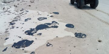 Investiga Procuraduría Ambiental y Urbana presencia de hidrocarburo en playa Miramar y Tesoro.