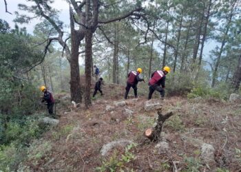 Combaten 263 personas incendio en el Cañón del Novillo