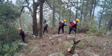 Combaten 263 personas incendio en el Cañón del Novillo