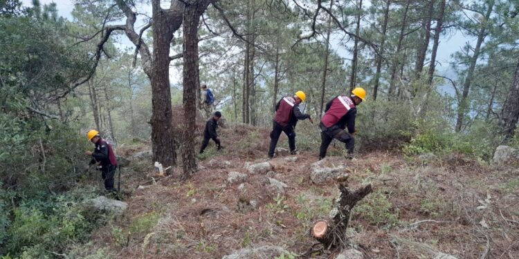 Combaten 263 personas incendio en el Cañón del Novillo