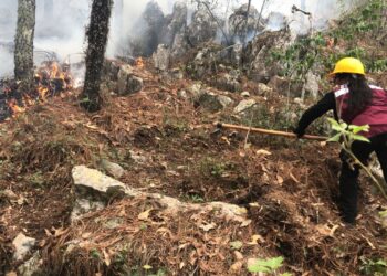 Plan Tamaulipas continúa combatiendo incendio forestal en ‘’La Chona’’