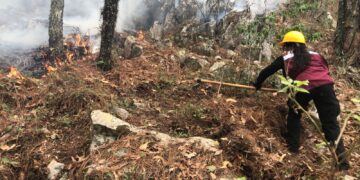 Plan Tamaulipas continúa combatiendo incendio forestal en ‘’La Chona’’