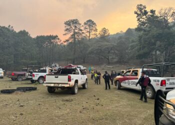 Plan Tamaulipas persiste en combate de incendio forestal en “La Chona”