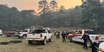 Plan Tamaulipas persiste en combate de incendio forestal en “La Chona”