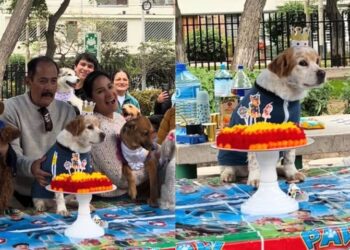 VIRAL: Señor festejo el cumpleaños de su perro ‘Doguito’ con temática de ‘Paw Patrol’