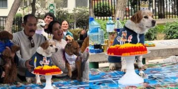 VIRAL: Señor festejo el cumpleaños de su perro ‘Doguito’ con temática de ‘Paw Patrol’