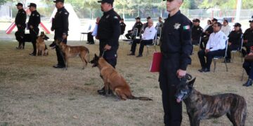 SSPT despide con honores a caninos retirados del servicio activo