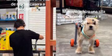 VIDEO VIRAL: Joven se roba el corazón de miles de internautas por crear silla de ruedas a su perrito