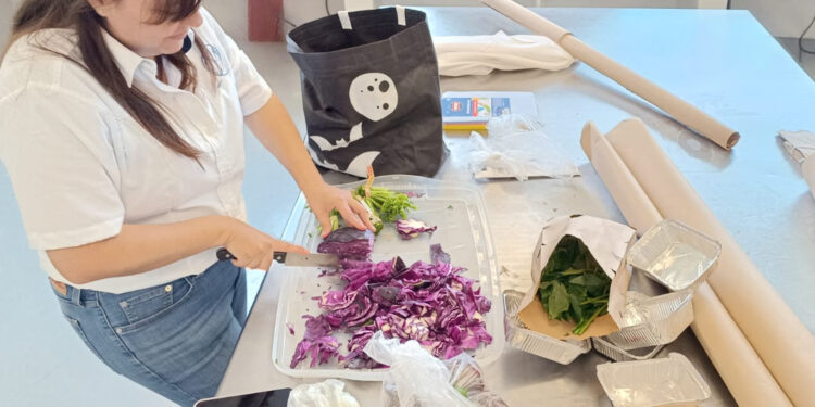 Desarrolla la UAT alternativa para la producción de pigmentos naturales