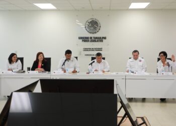 Aprueban Comisiones fortalecer la legítima defensa en casos de violencia de género