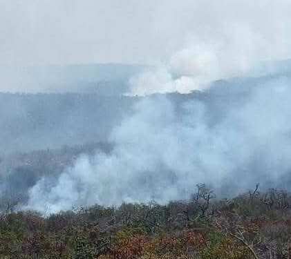 Avanza control del incendio forestal en Jaumave con el apoyo de diversas corporaciones