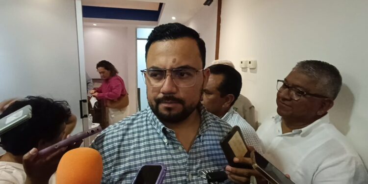 Supera Tamaulipas récord de conservación de tortuga lora en la temporada 2025