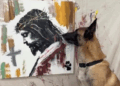 VIDEOVIRAL: Un perro sorprende en redes sociales al crear pinturas sorprendentes