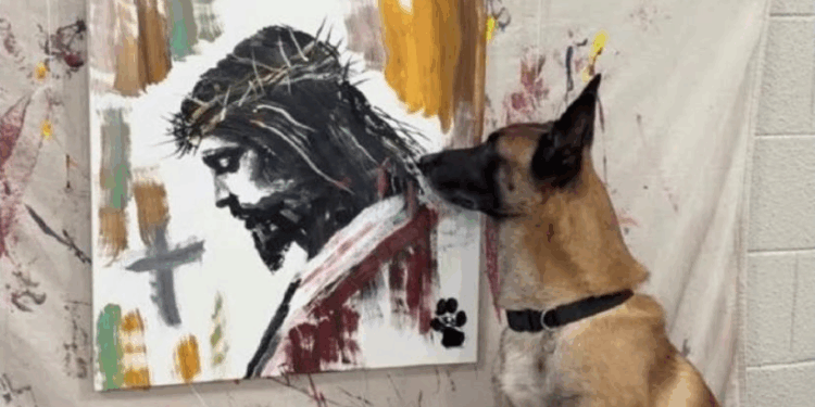 VIDEOVIRAL: Un perro sorprende en redes sociales al crear pinturas sorprendentes