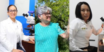 Investigadores de la UAT obtienen certificación nacional