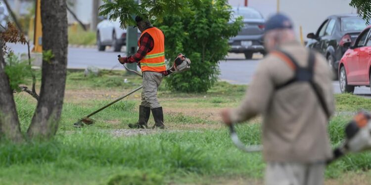 Trabaja gobierno en mejoramiento de imagen urbana de la Capital.
