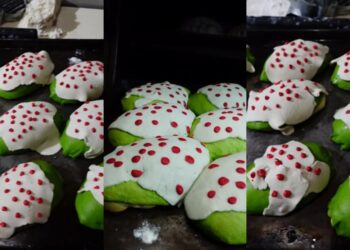 VIDEO VIRAL: Nogaconcha: una dulce reinterpretación del chile en nogada que cautiva a México