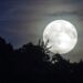 Las lunas más bellas del año brillan en octubre