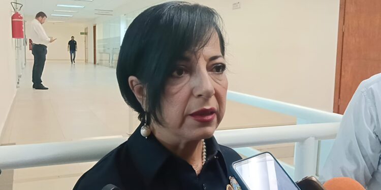 Diputada Eva Araceli Reyes: Tamaulipas debe revisar el tema de la despenalización del aborto