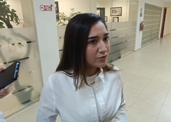 Katalyna Méndez pide disculpa pública a dirigente del PVEM por expresiones denigrantes