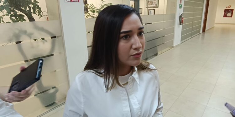 Katalyna Méndez pide disculpa pública a dirigente del PVEM por expresiones denigrantes