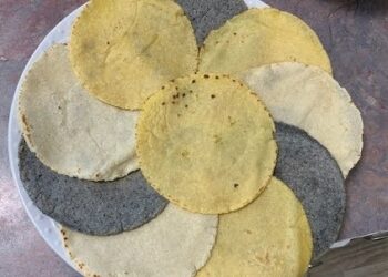 De la milpa a tu mesa: por qué la tortilla azul es más saludable