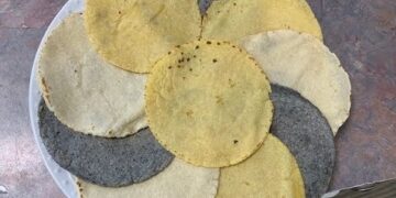 De la milpa a tu mesa: por qué la tortilla azul es más saludable