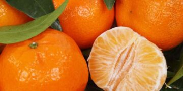 Frutas aliadas para fortalecer tu sistema inmune en la temporada de frío