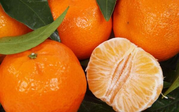 Frutas aliadas para fortalecer tu sistema inmune en la temporada de frío