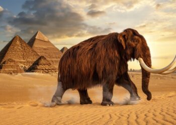 Las pirámides y los mamuts: una sorprendente coincidencia en el tiempo