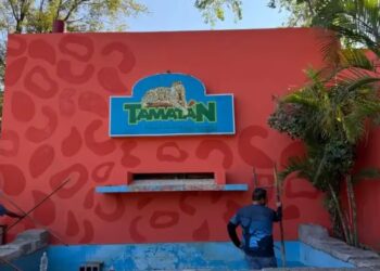 Liberan a monos rescatados en el Zoológico de Tamatán tras décadas de encierro