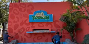 Liberan a monos rescatados en el Zoológico de Tamatán tras décadas de encierro