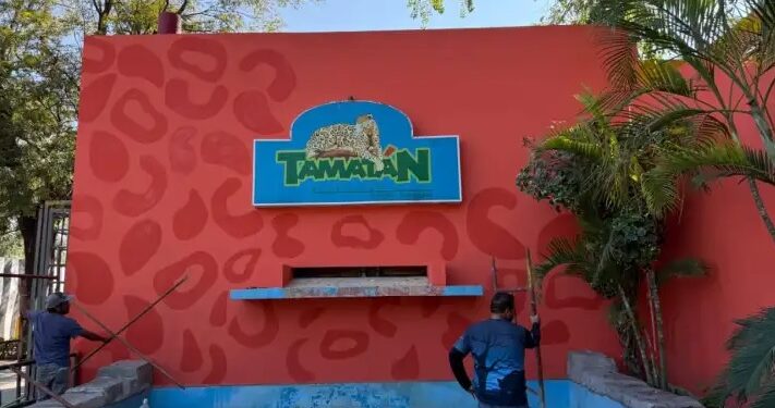 Liberan a monos rescatados en el Zoológico de Tamatán tras décadas de encierro