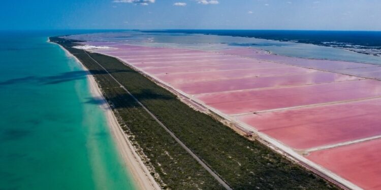 México y su impresionante mar color rosa que cautiva al mundo