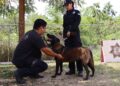 Refuerza SSPT medidas de protección a elementos caninos de la Guardia Estatal ante altas temperaturas