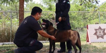 Refuerza SSPT medidas de protección a elementos caninos de la Guardia Estatal ante altas temperaturas